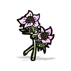 wildflowers illustration N4