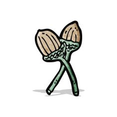 cartoon acorn N9