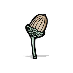 cartoon acorn N10
