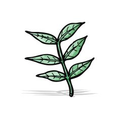 Cartoon Leaf N37
