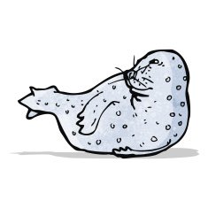 seal illustration