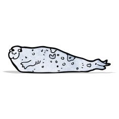 seal illustration N2