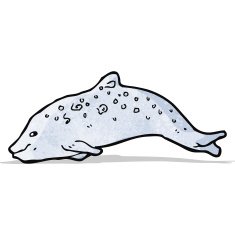 dolphin illustration N2