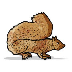 Cartoon Squirrel N24