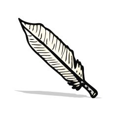 feather illustration