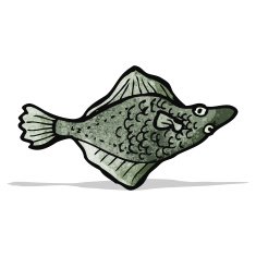 Fish Illustration N4