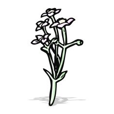 wild flowers cartoon N3