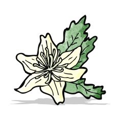 Cartoon Flowers N28