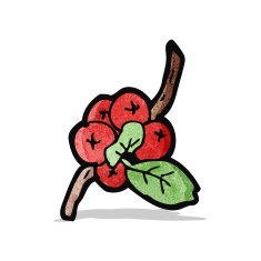 winter berries cartoon