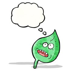 leaf with thought bubble cartoon