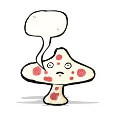 cartoon toadstool N15
