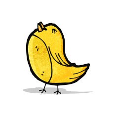Cartoon Bird N76