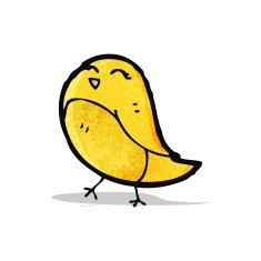 Cartoon Bird N78