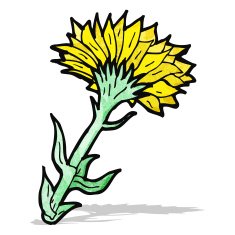 cartoon flower N88