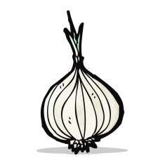 Cartoon Onion N8