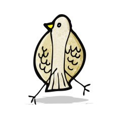 Cartoon Bird N80