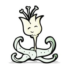 flower cartoon character N12