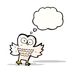 Cartoon Owl N63