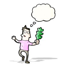 cartoon man with leaf N4