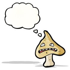 cartoon mushroom N18