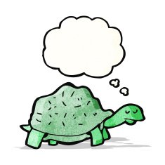 Cartoon Tortoise N13