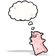 cartoon little pig N2