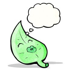 cartoon leaf with face N4