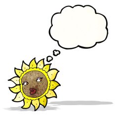 cartoon pretty sunflower face