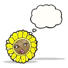 cartoon pretty sunflower face N2