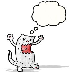 cartoon angry cat N2