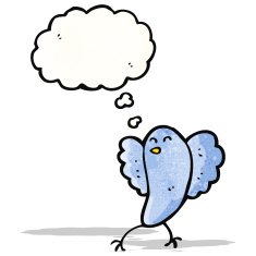 cartoon blue bird N4
