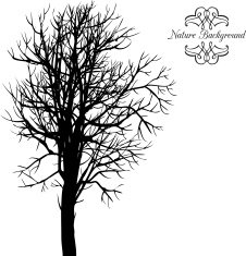 Vector background with trees