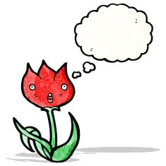 cartoon tulip
