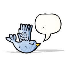 flying bird with speech bubble