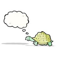 Cartoon Tortoise N16