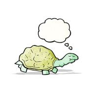 Cartoon Tortoise N17