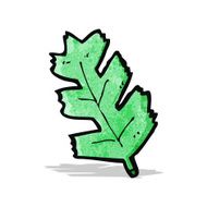 Cartoon Leaf N43