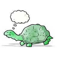Cartoon Tortoise N20