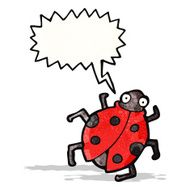 Cartoon Ladybug N42