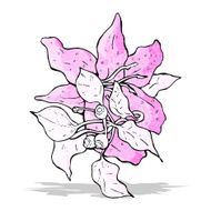 flowers illustration N5