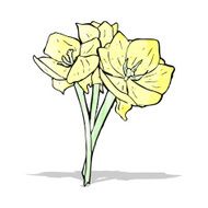 flowers illustration N6