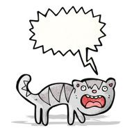 screeching cat cartoon
