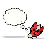 Cartoon Ladybug N47