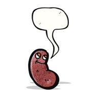cartoon kidney bean