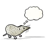 shrew illustration N4