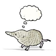 shrew illustration N5