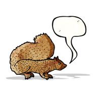 Cartoon Squirrel N28