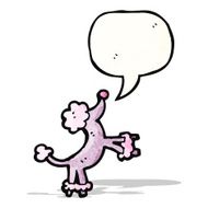 Cartoon Poodle N20