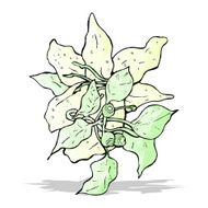 flowers illustration N7