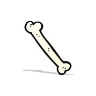 Cartoon Bone N13